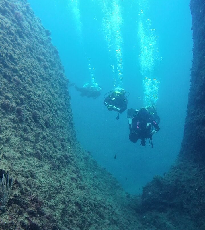 La Sirena Diving Center-L'Estartit必去景点