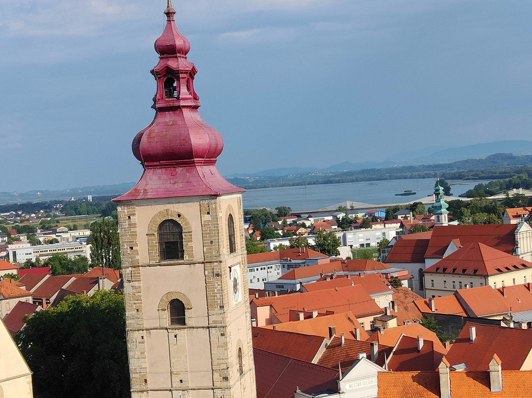 Ptuj City Tower-普图伊必去景点