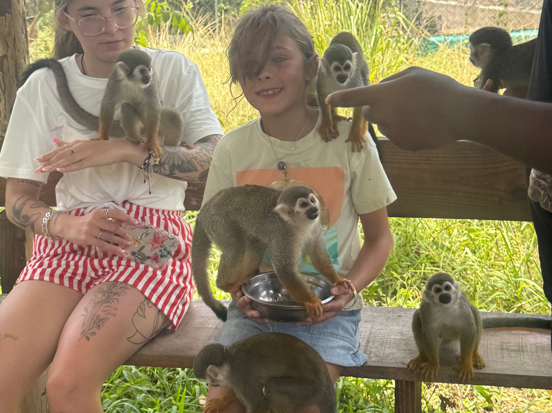 Monkey Home Puerto Plata-普拉塔港必去景点