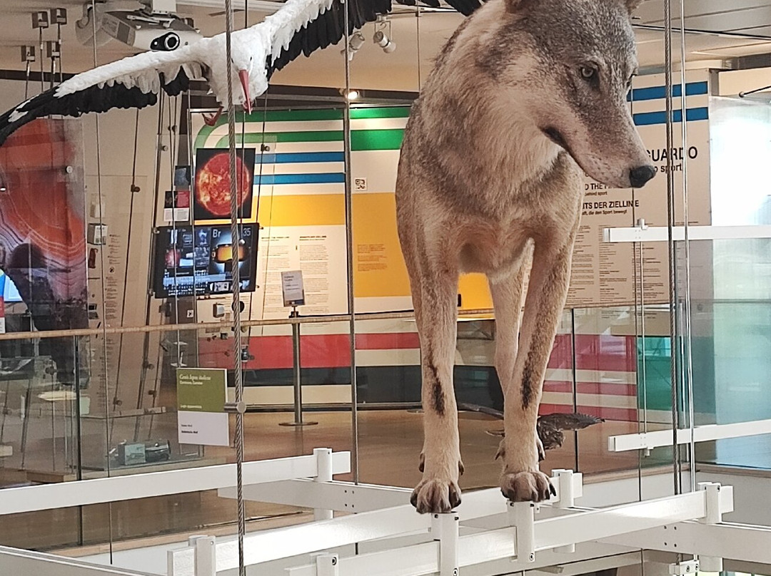MUSE - Science Museum-特伦托必去景点
