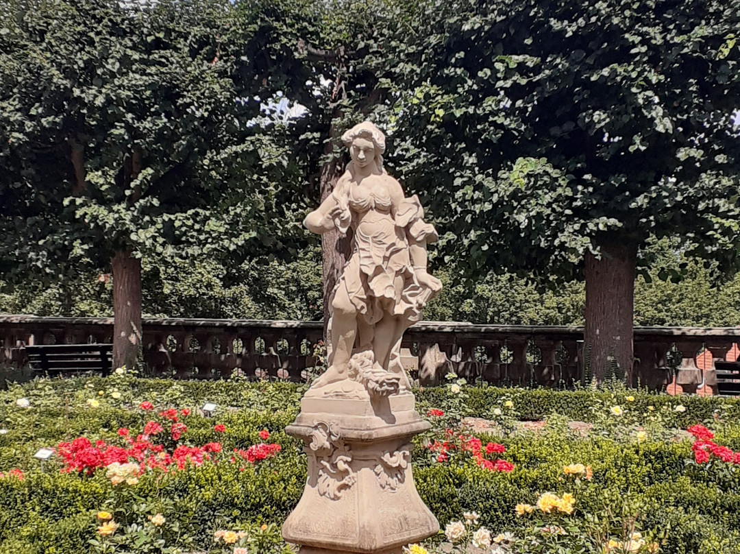 Rose garden-班贝格城必去景点
