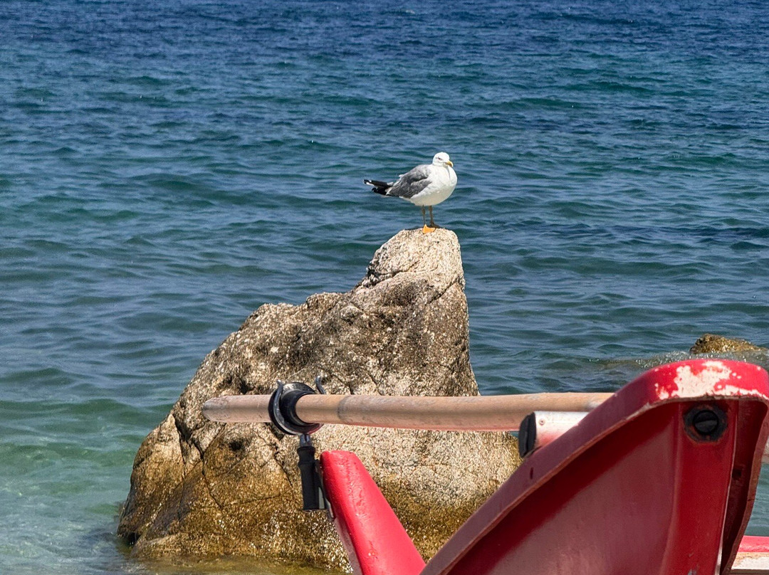 Spiaggia di Sottobomba-费拉约港必去景点