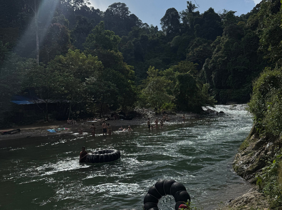 Bukit Lawang Travel-武吉拉旺必去景点