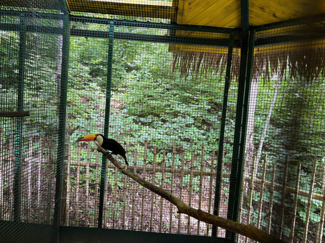 Parrot Mountain & Gardens-皮金福奇必去景点