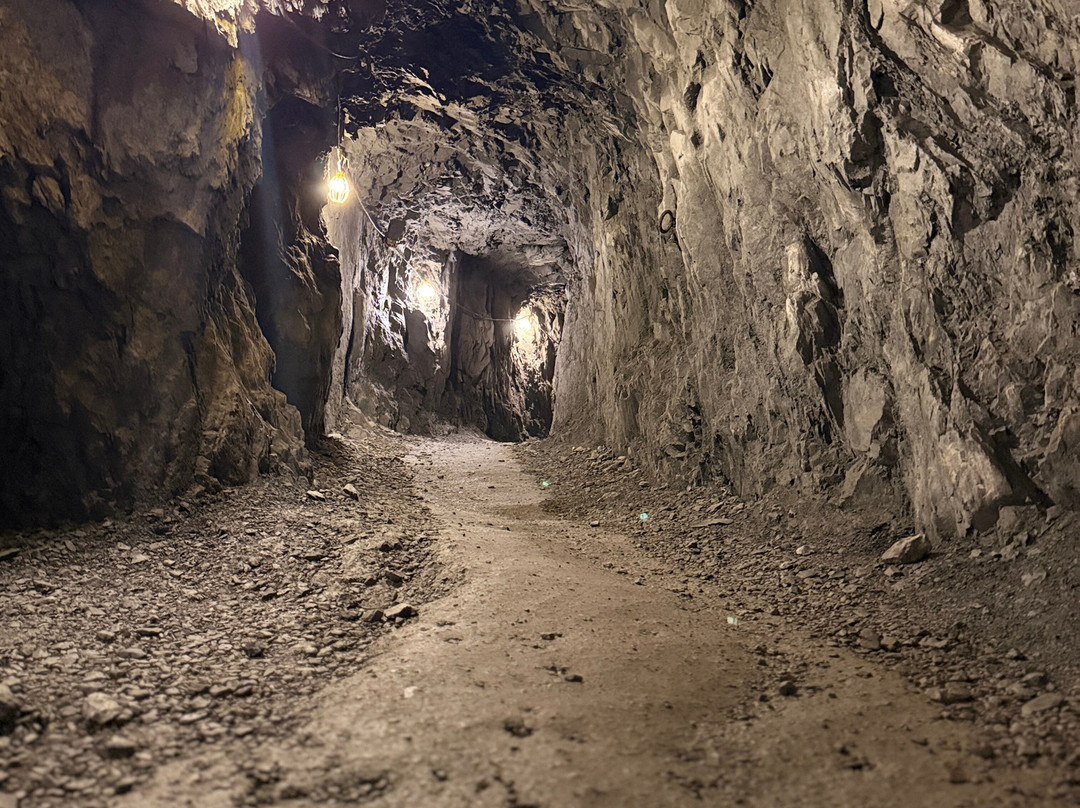 Sierra Silver Mine Tour-Wallace必去景点