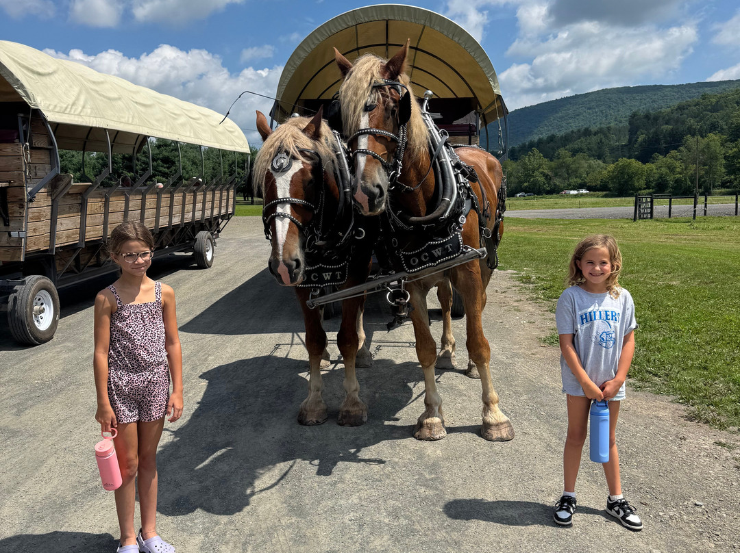 Ole Covered Wagon Tours-Wellsboro必去景点