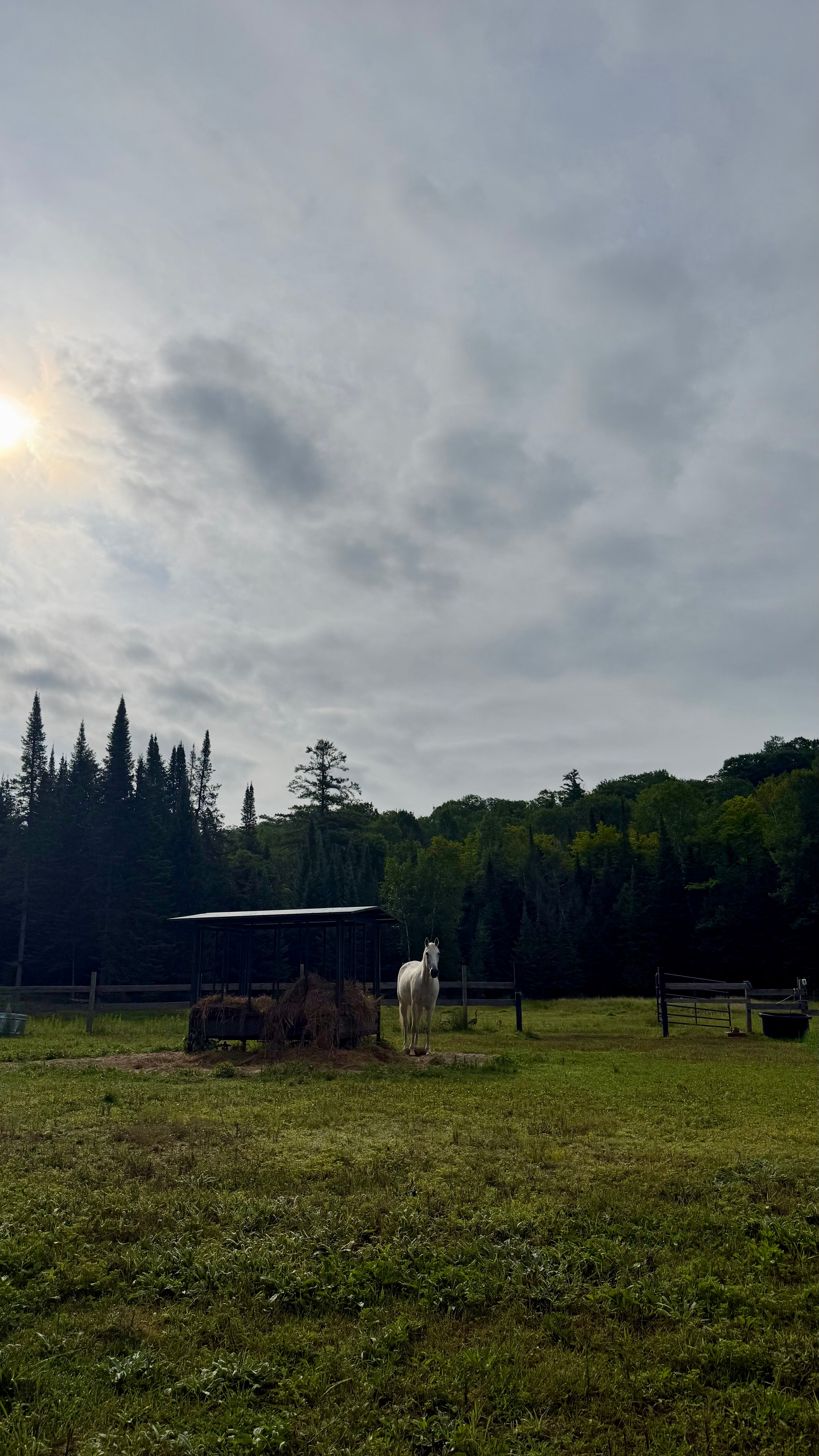 Grail Springs Retreat For Wellbeing-旅行者