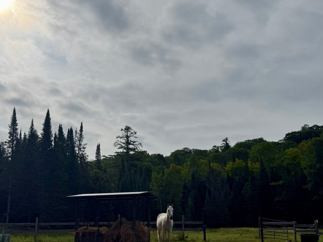 Grail Springs Retreat For Wellbeing主图