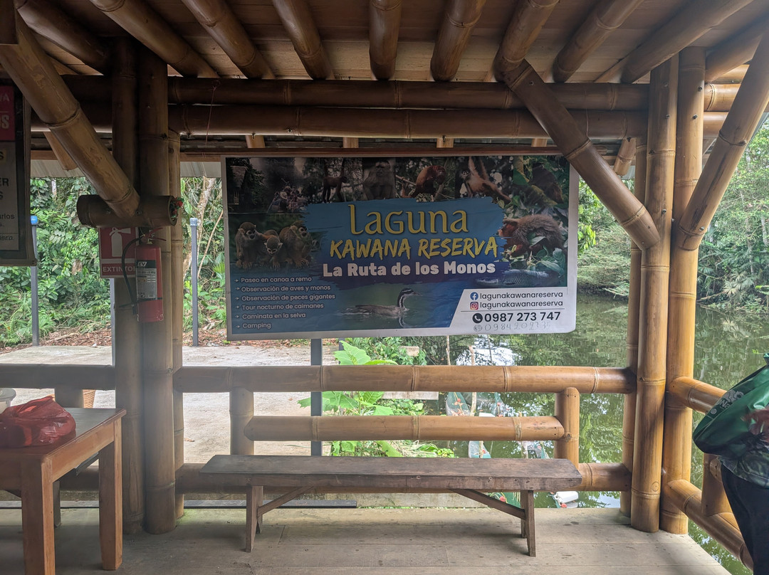 Sayani Amazon Lodge