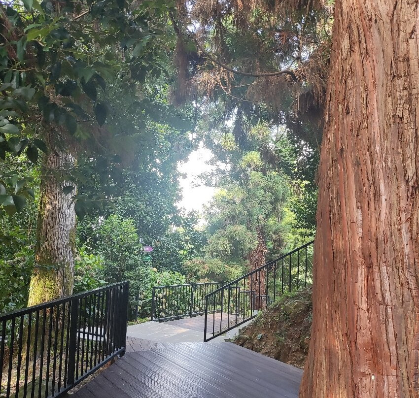 Batumi Botanical Gardens-巴统必去景点