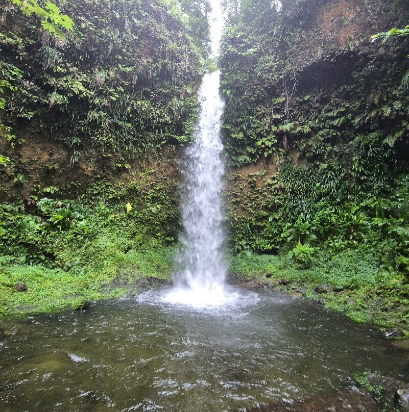 Jacko Falls-Morne Trois Pitons National Park必去景点