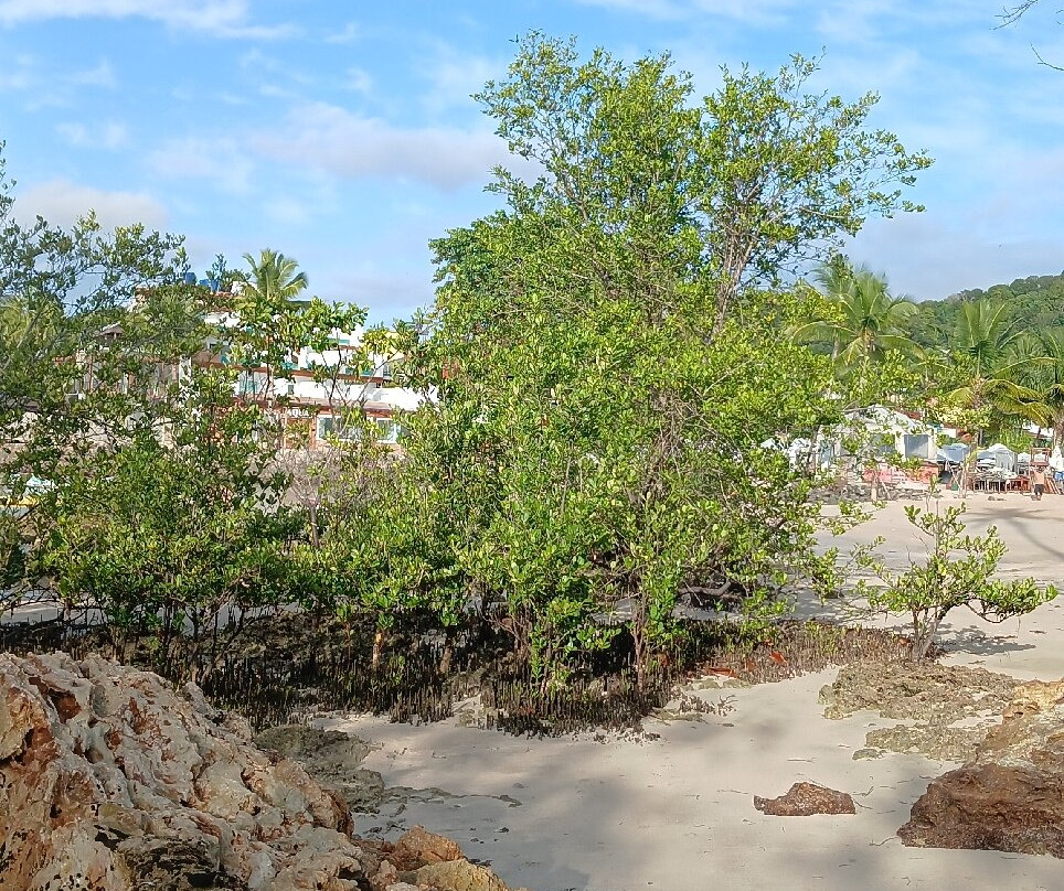 Terceira Praia-莫罗圣保罗必去景点