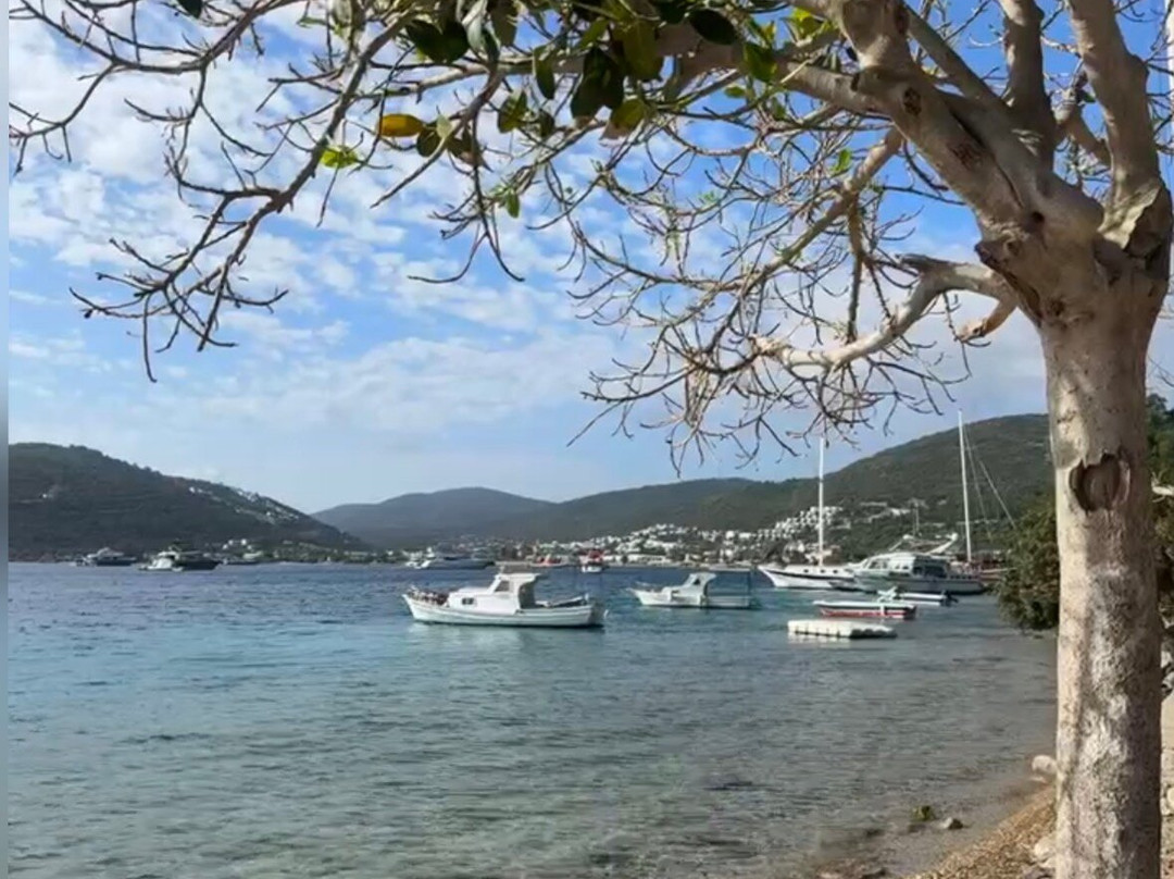 托尔巴航行酒店主图