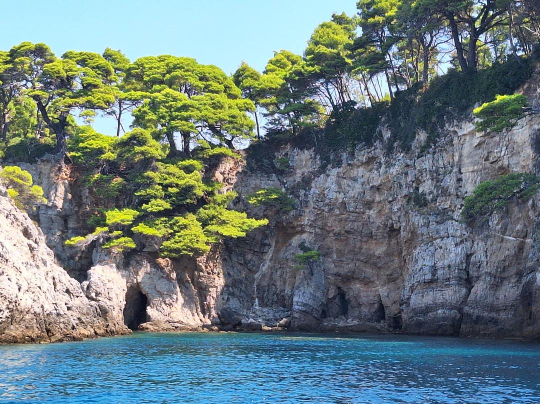 Galeb Boat Tours-Kolocep Island必去景点