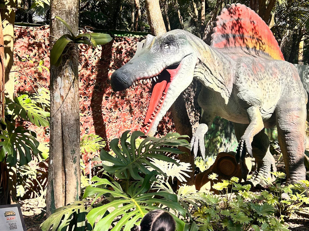 Zoologico De Sao Paulo-圣保罗必去景点