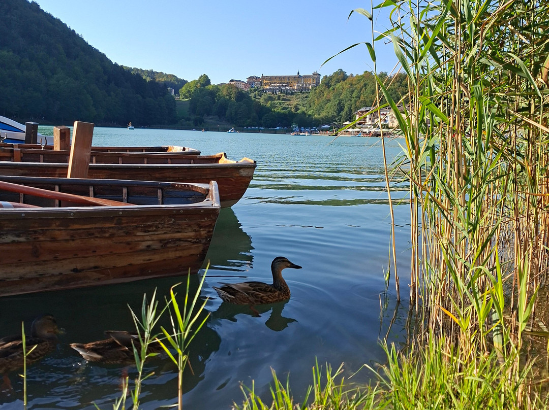 Lago di Lavarone-Lavarone必去景点