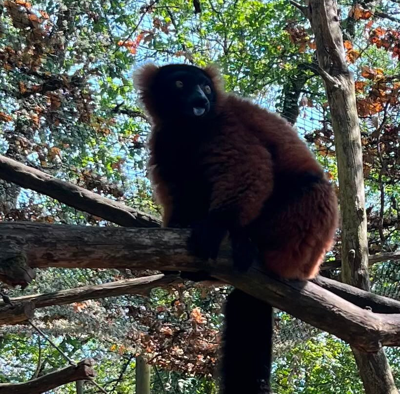 Réserve Zoologique De Calviac-Calviac-en-Perigord必去景点