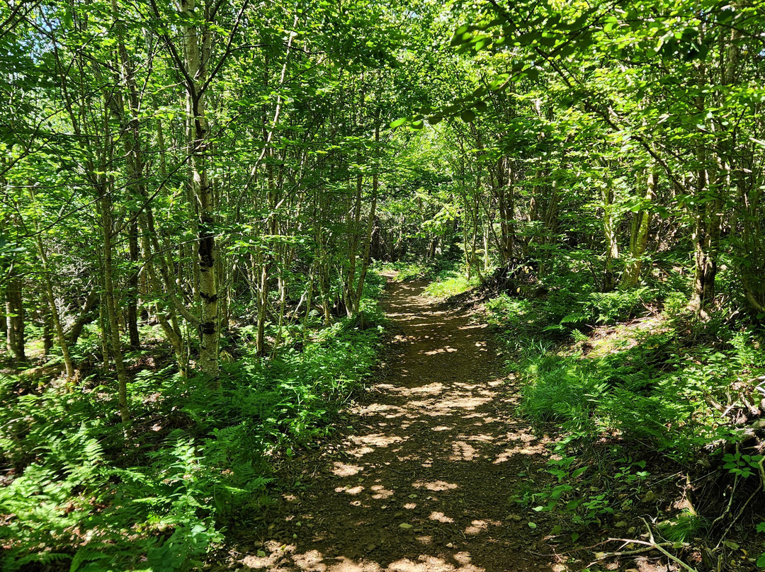 Cape Split Hiking Trail-Scots Bay必去景点