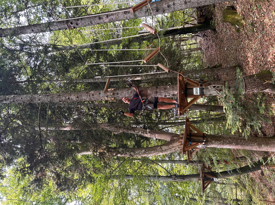 Parc Aventure Chaumont-Chaumont-de-Pury必去景点