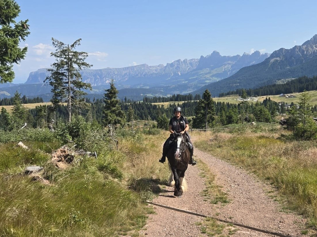 Reitzentrum Angerle Alm-诺瓦莱万泰必去景点