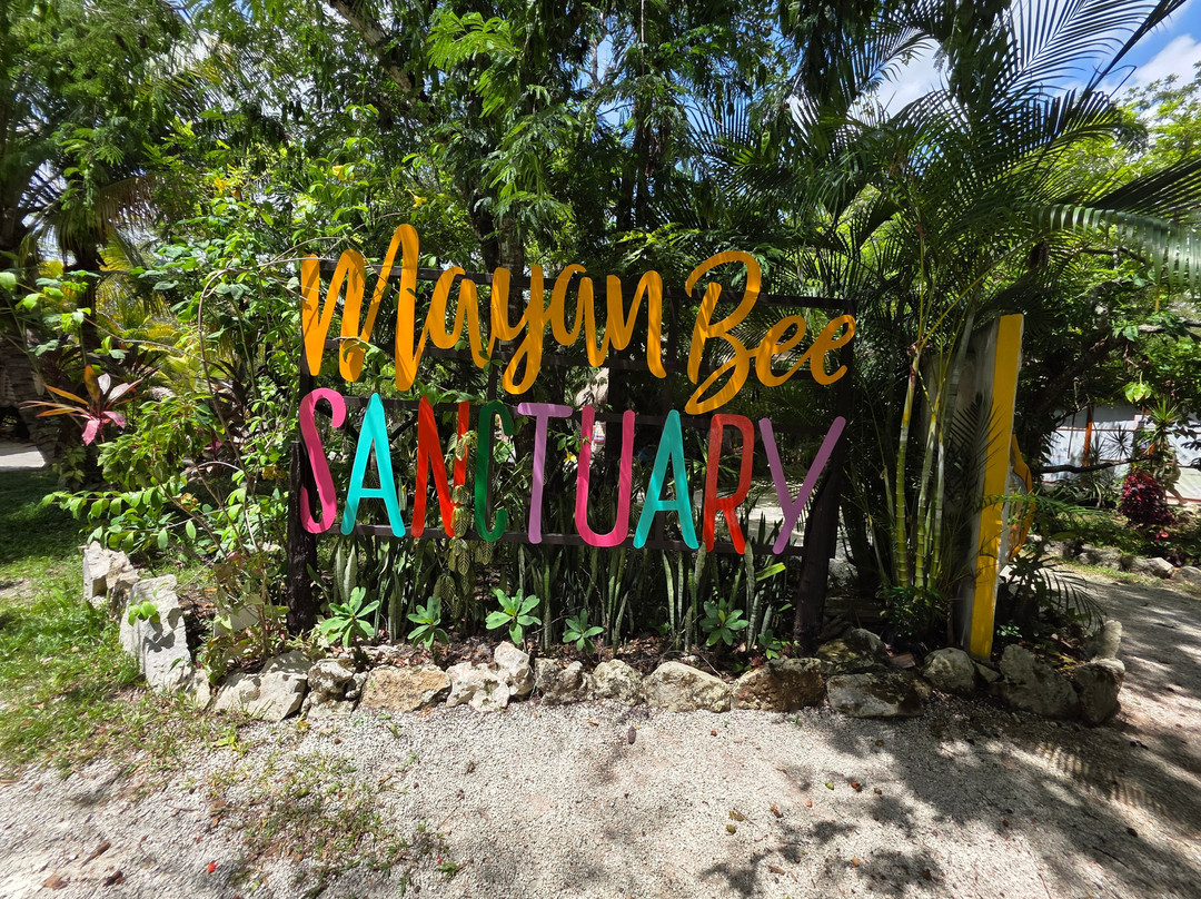 Mayan Bee Sanctuary-San Miguel de Cozumel必去景点