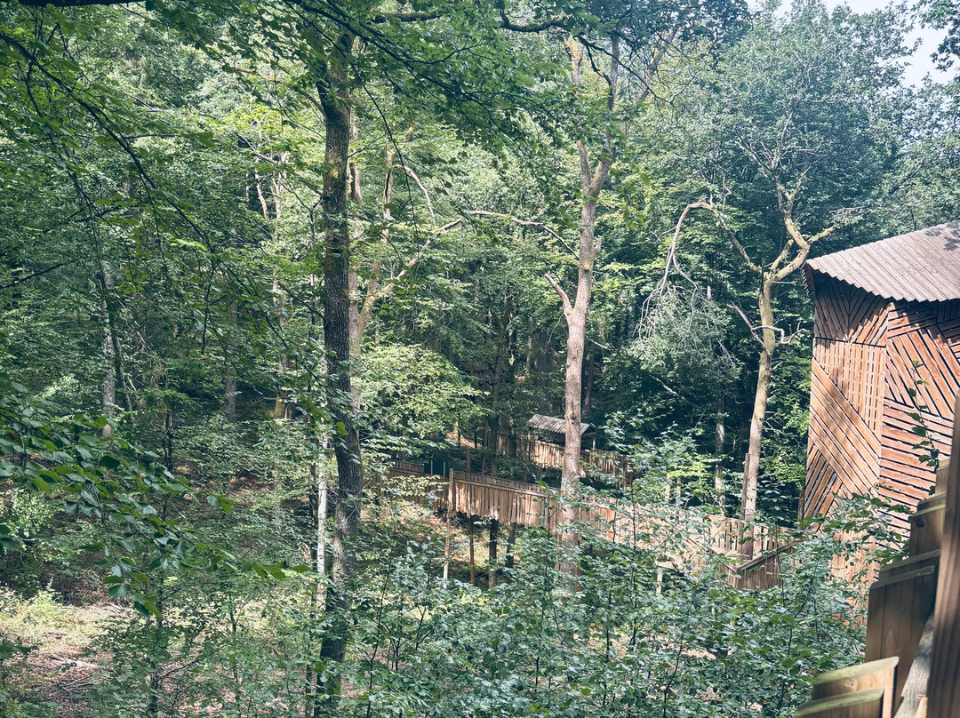 Parc Forestier Récréatif Chlorophylle-Manhay必去景点