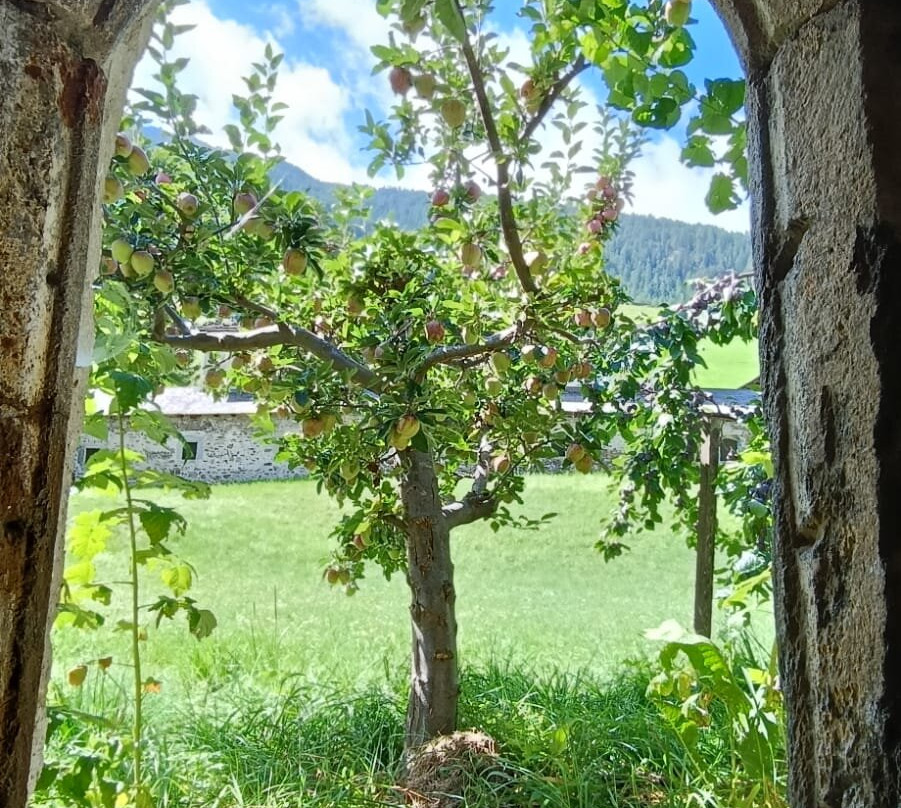 Carthusian Monastery Allerengelberg-Senales必去景点