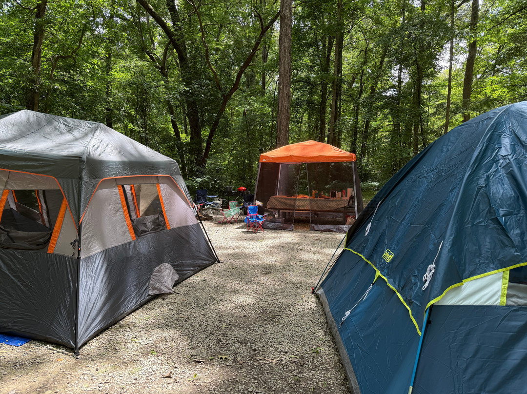 Natchez Trace State Park-Wildersville必去景点