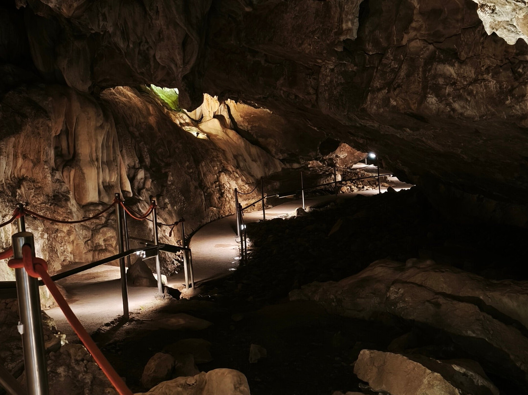 Cueva de las Güixas-Villanua必去景点