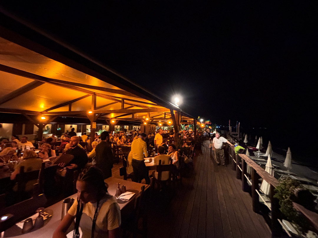 The Jungle Beach Club