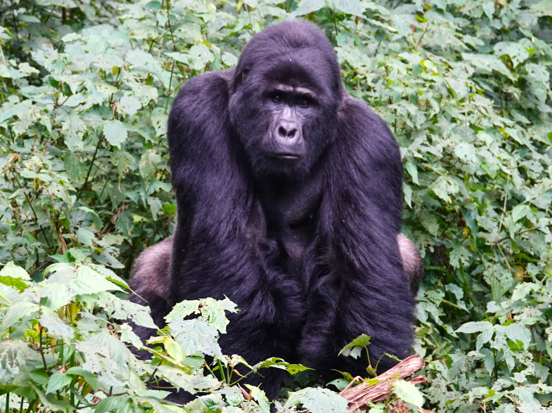 Hidden Gems of Uganda-卡巴莱必去景点