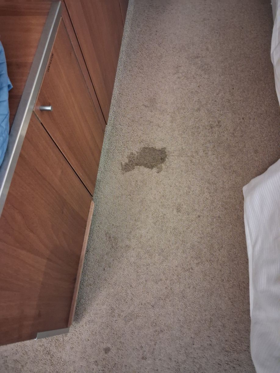 弗莱彻斯帕伦霍斯特-费卢韦酒店餐厅-旅行者