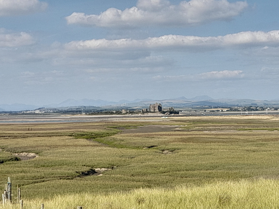 South Walney Nature Reserve-巴罗因弗内斯必去景点