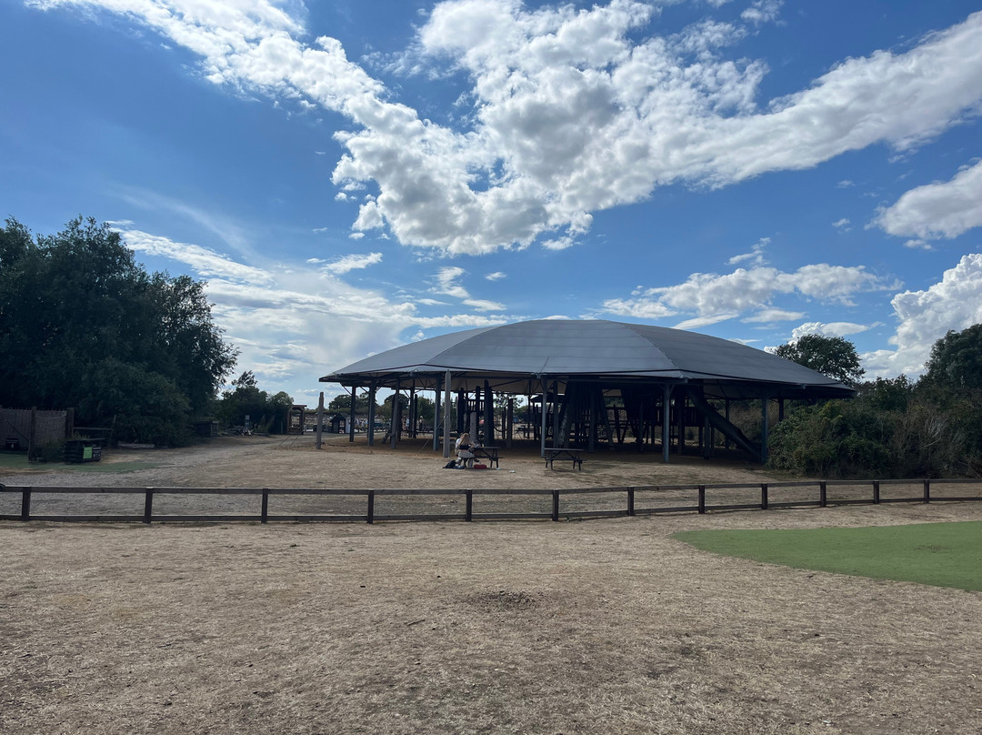 Hasty's Adventure Farm-滨海克拉克顿必去景点