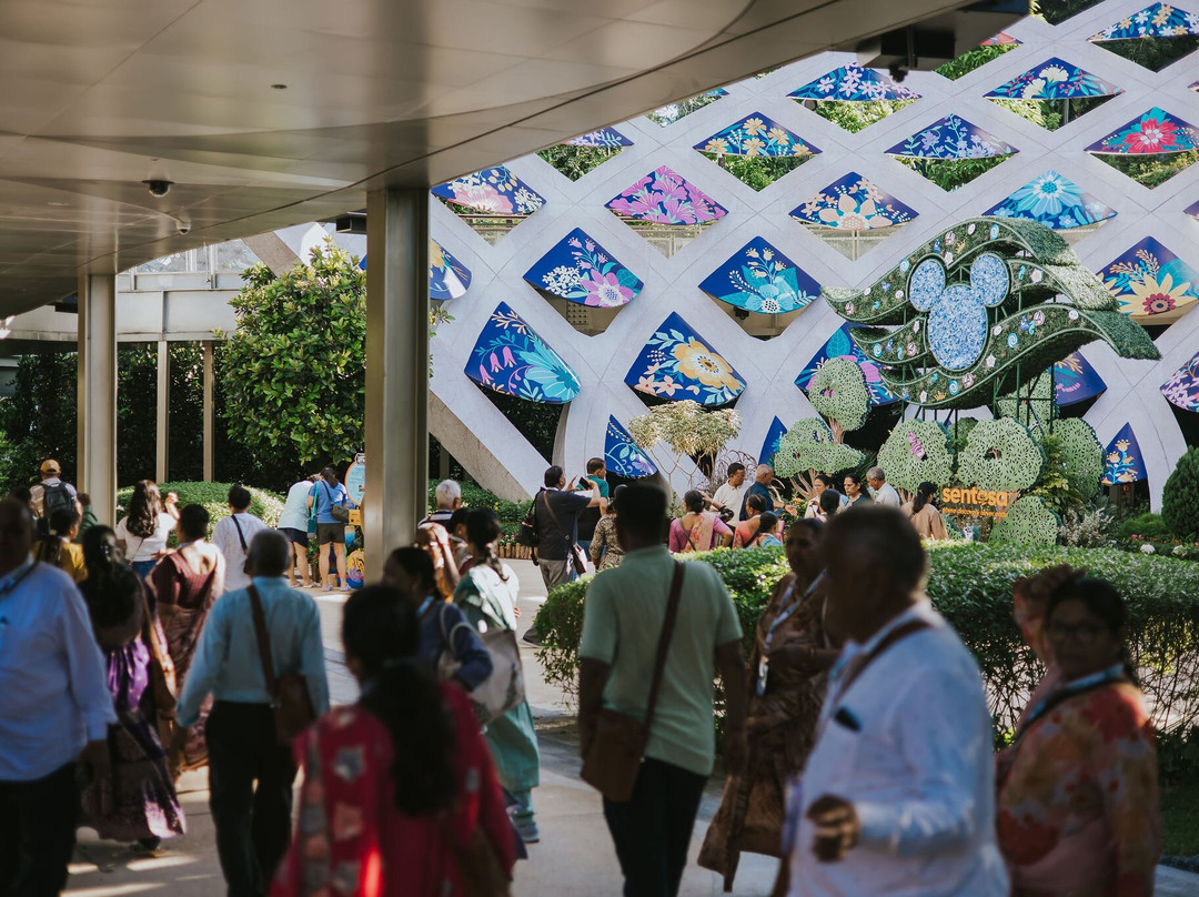 Sentosa SensoryScape-新加坡必去景点
