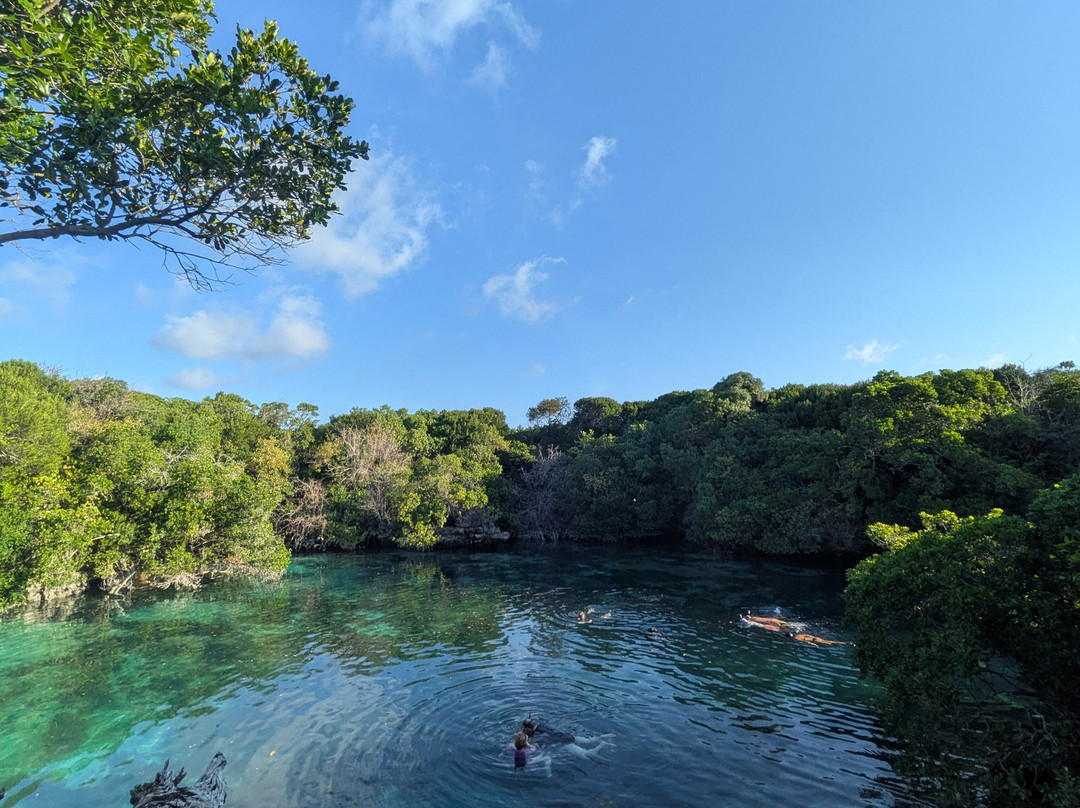 Safari Shwari Mafia Island-Utende必去景点