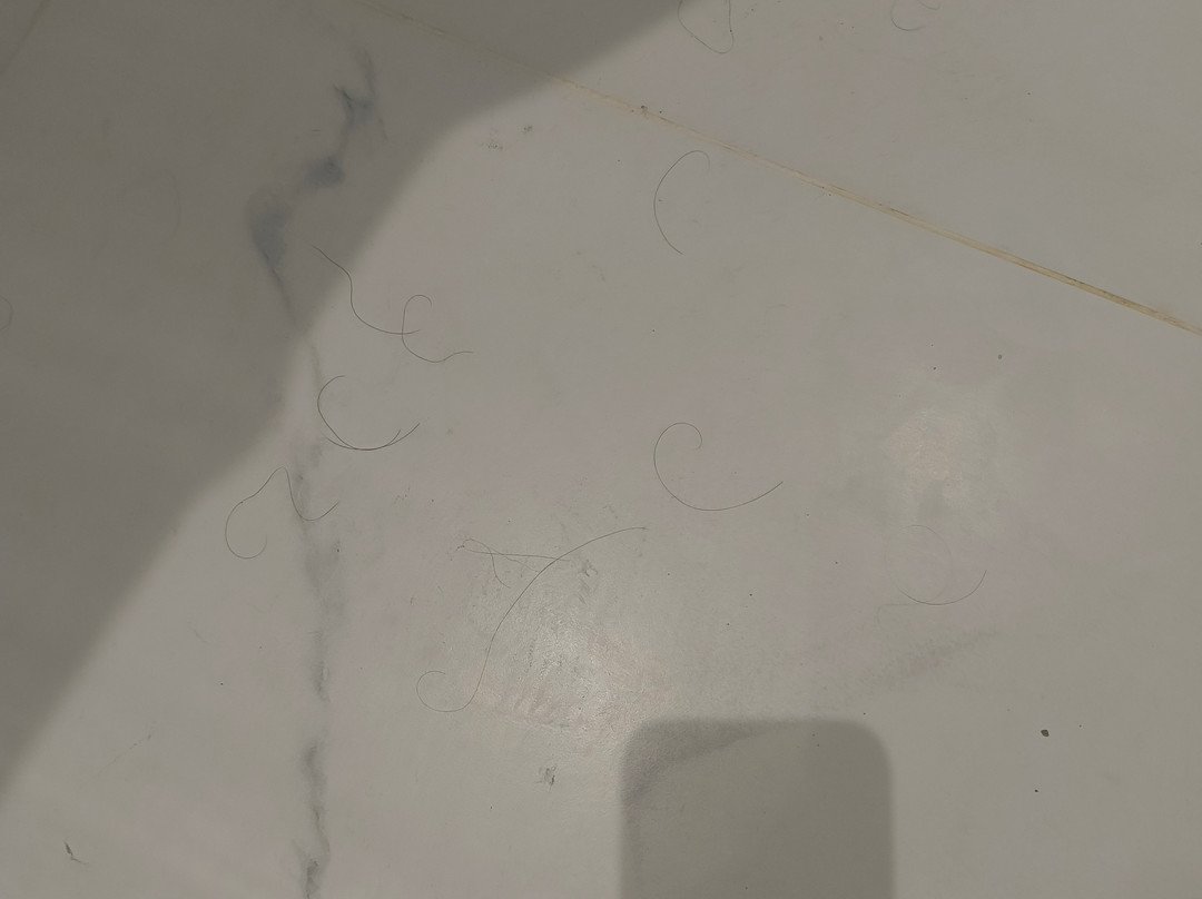 巴贝尔酒店主图