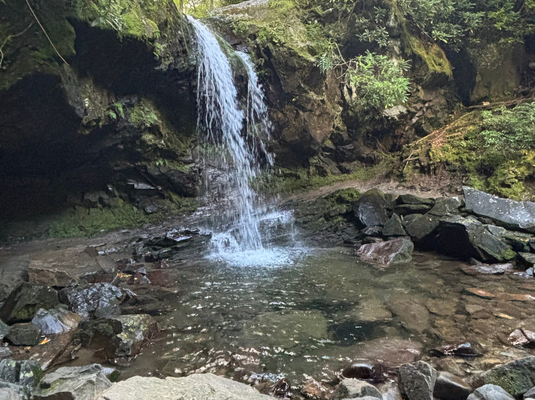 Grotto Falls Trail-大雾山国家公园必去景点