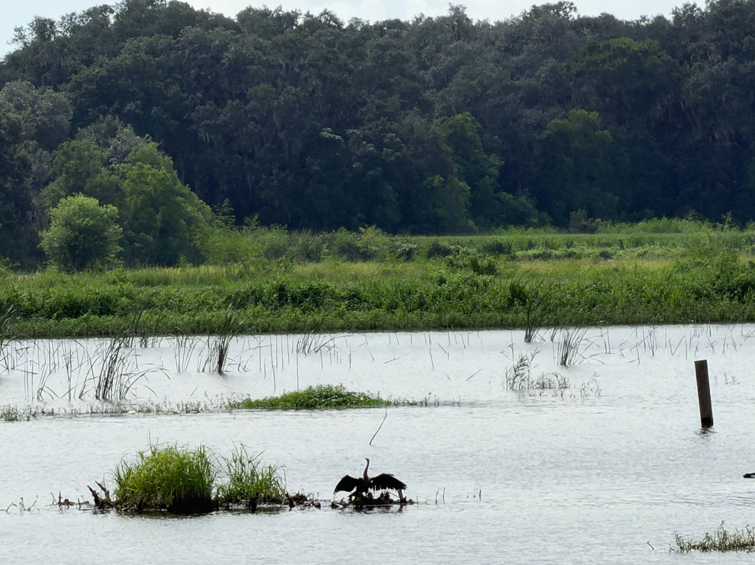 Savannah National Wildlife Refuge-Hardeeville必去景点