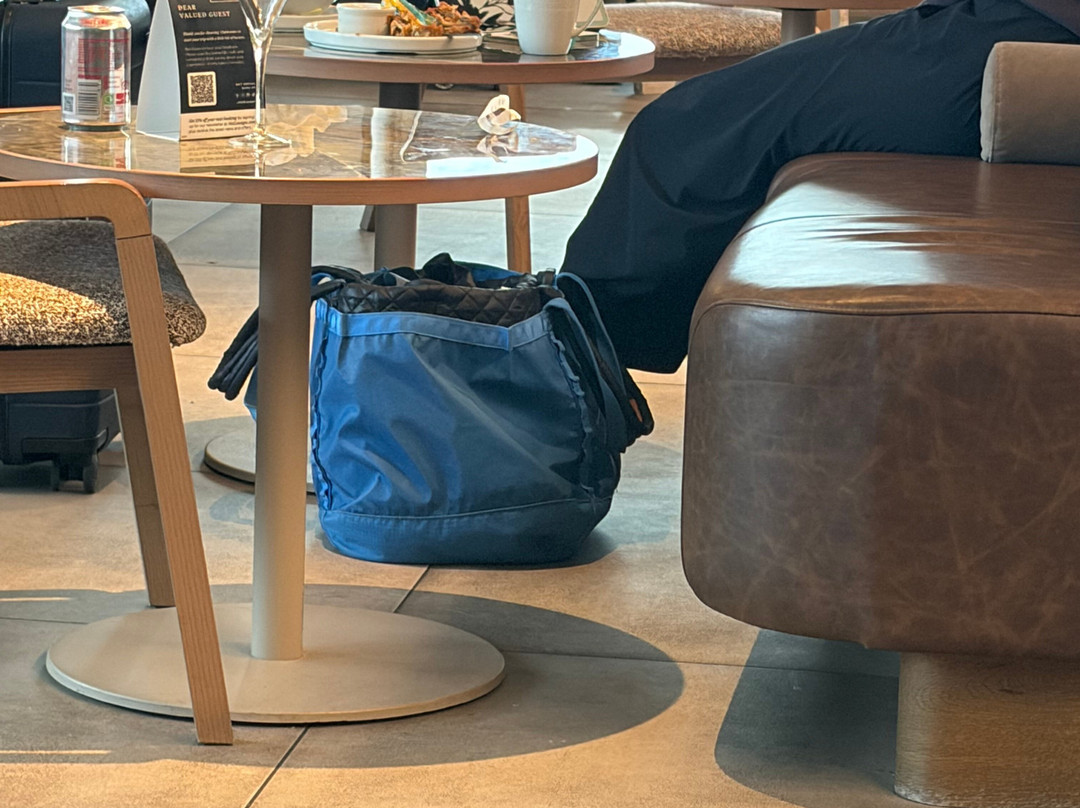 Clubrooms At Gatwick South Terminal-霍利必去景点