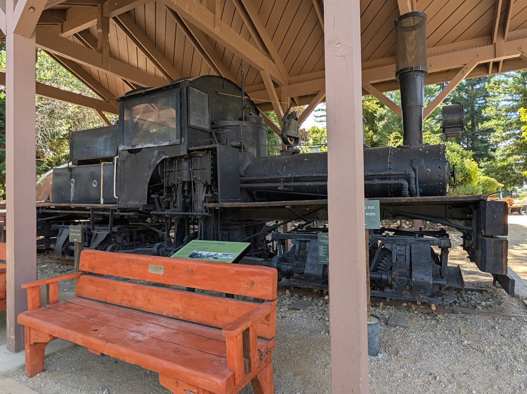 Turtle Bay Exploration Park-雷丁必去景点