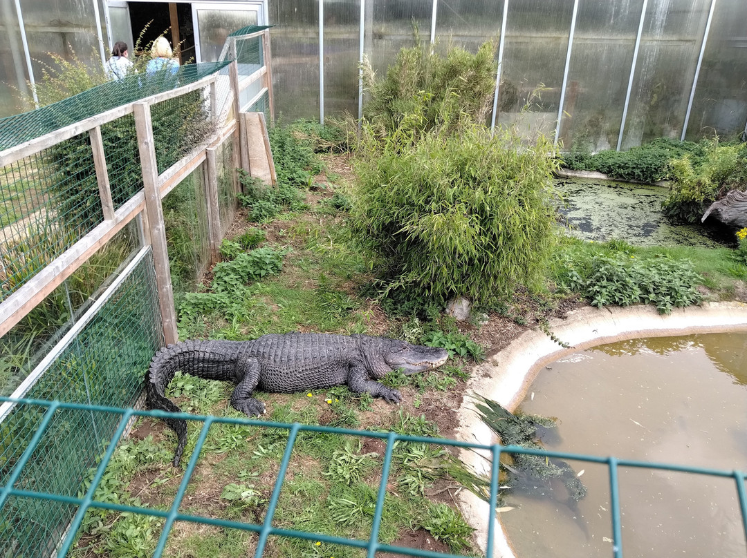 Thrigby Hall Wildlife Gardens-Filby必去景点