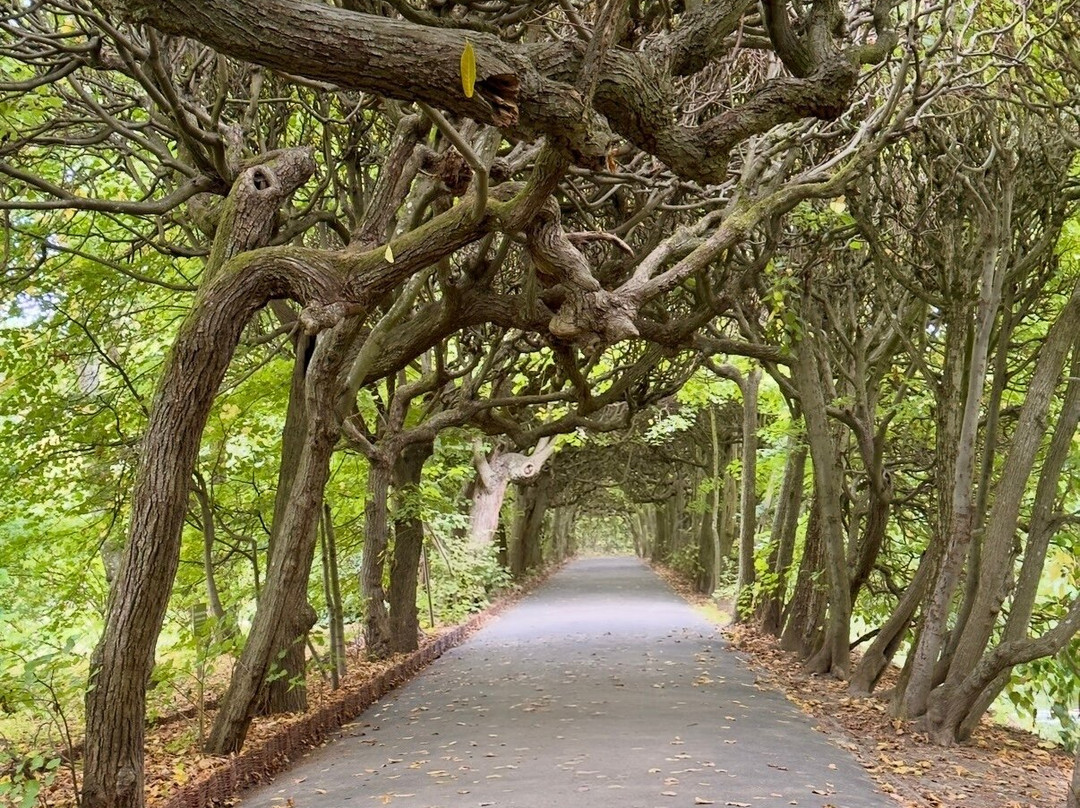 Oliwski Park-格但斯克必去景点