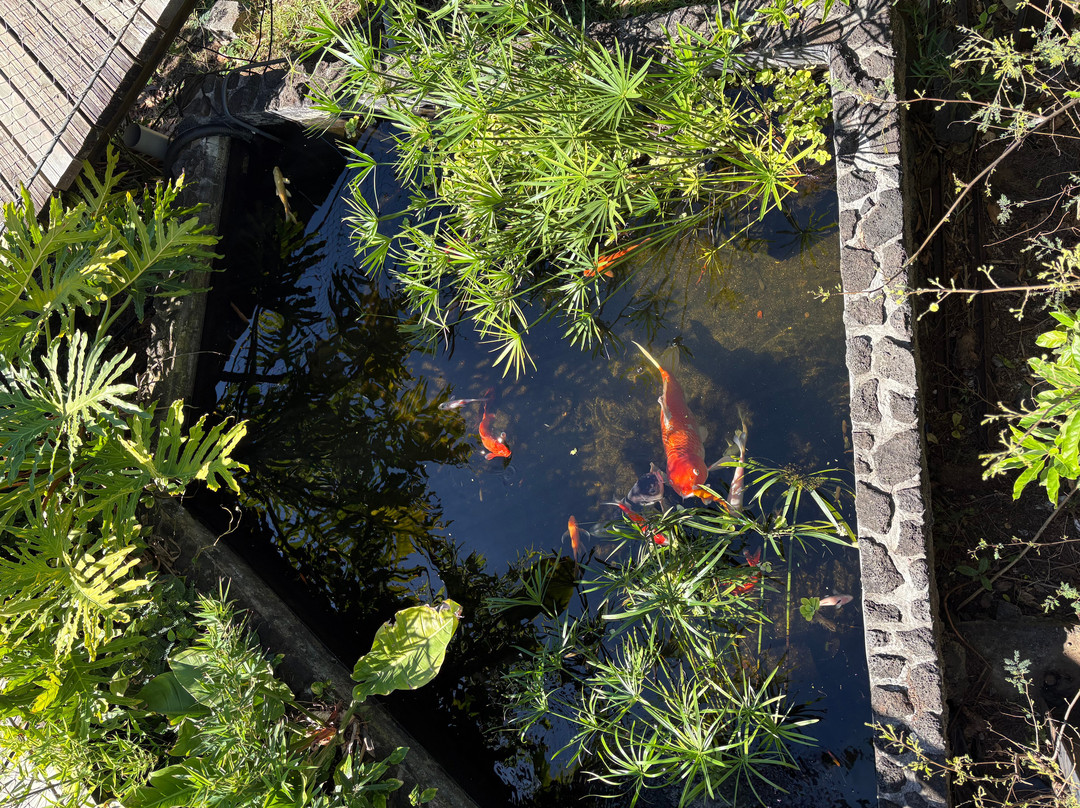 Le Jardin Des Tortues-Les Avirons必去景点