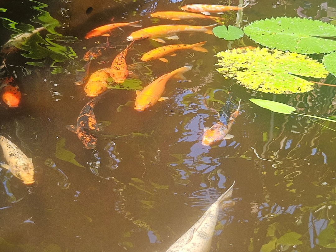 水上花园温泉酒店主图