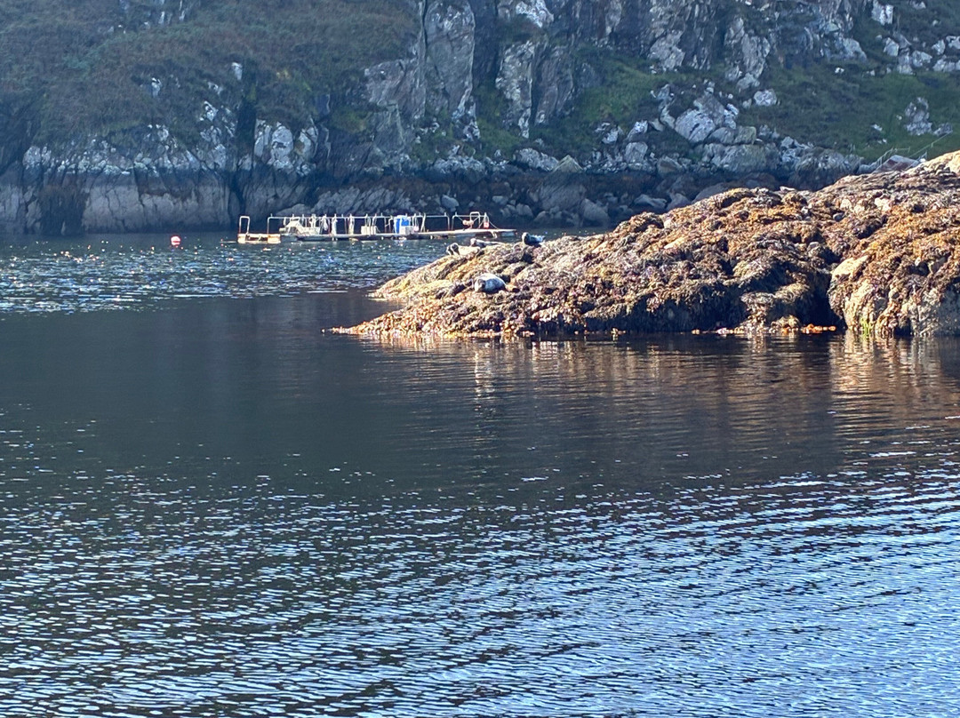 North Coast Sea Tours-Lochinver必去景点