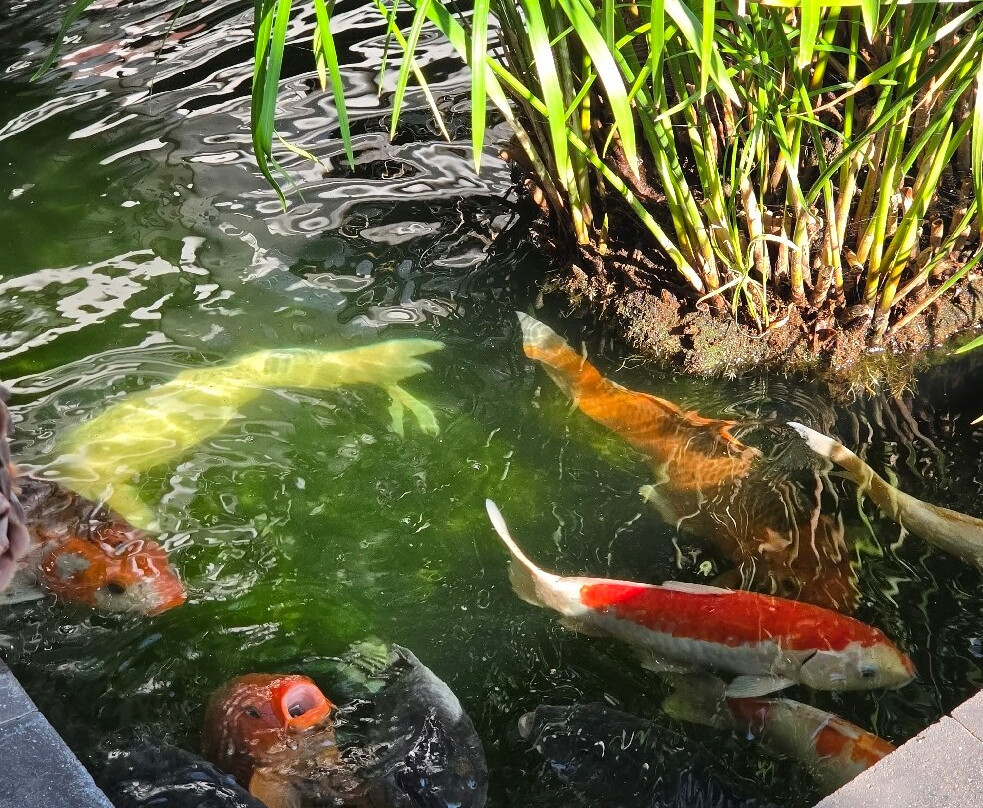 巴东拜海滩度假村主图