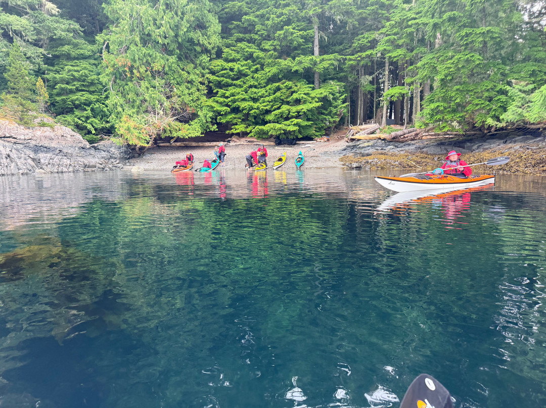 Kingfisher Wilderness Adventures-Port McNeill必去景点