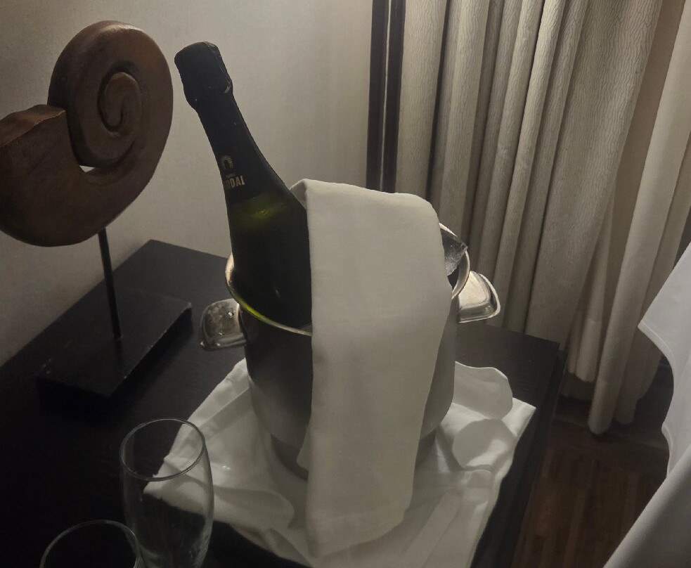 因索特尔芬尼西亚名誉套房酒店和spa主图