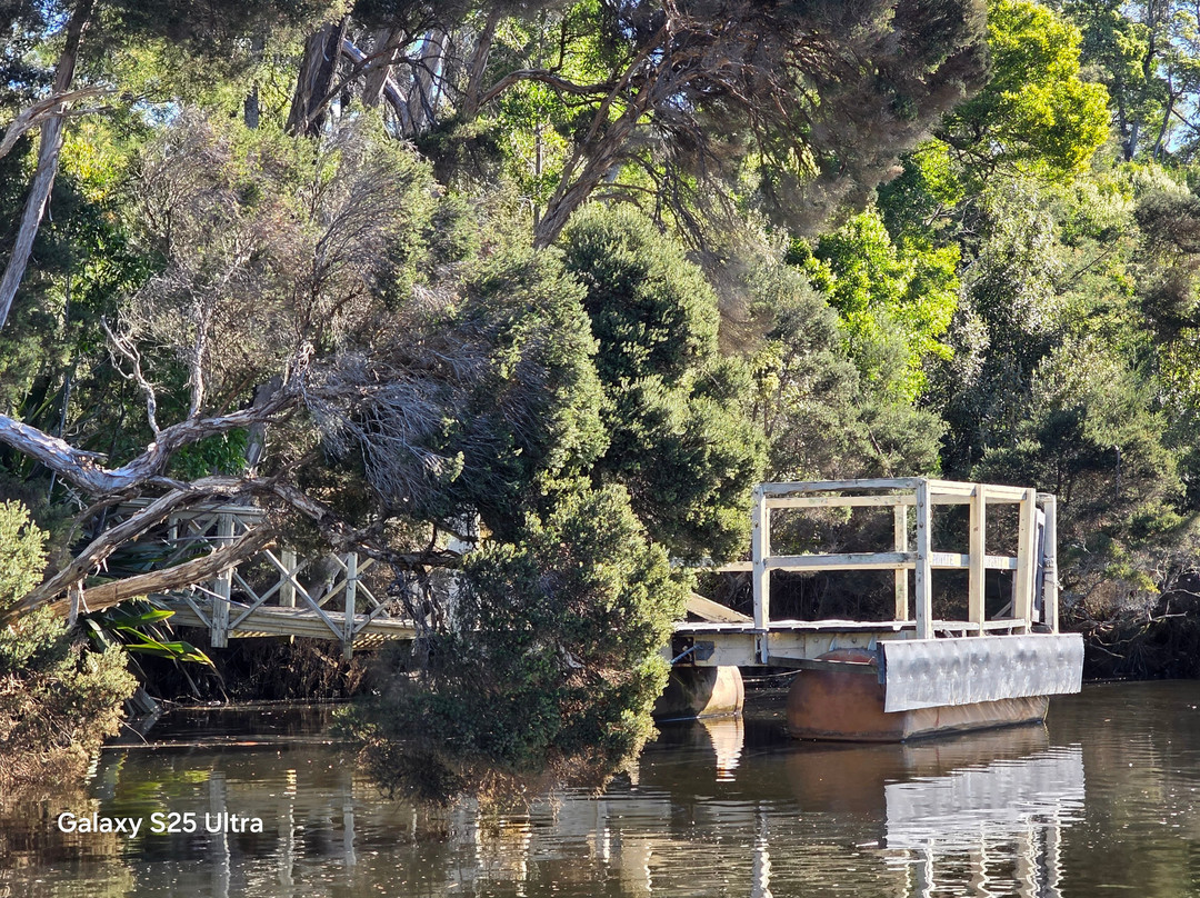 Leven River Cruises-Ulverstone必去景点